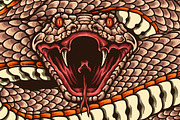 Wild and Dangerous, an Animal Illustration by TSV Art Collective (Thumbnail 1 of 3)