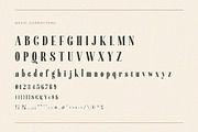 Gailanie // Stylish Ligature Font, a Serif Font by epicatype (Thumbnail 9 of 10)