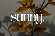 Delphine Modern Ligatures Font, a Serif Font by UICreative (Thumbnail 11 of 13)