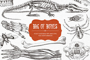 Bag of Bones | Vintage Clipart, a Seasonal Illustration by GVGraphics (Thumbnail 5 of 13)