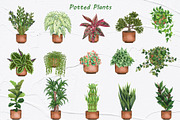Potted Plants Watercolor clipart, an Object Illustration by BarvArt (Thumbnail 2 of 8)