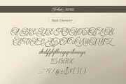 Yertlealus | Modern Beauty Script, a Script Font by Denustudios (Thumbnail 13 of 15)