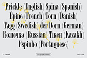 TT Espina, a Serif Font by TypeType (Thumbnail 12 of 15)