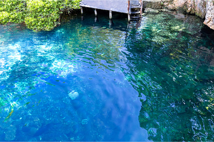 Mexico tourism destination, caves, a Nature Photo by Web Engine Design