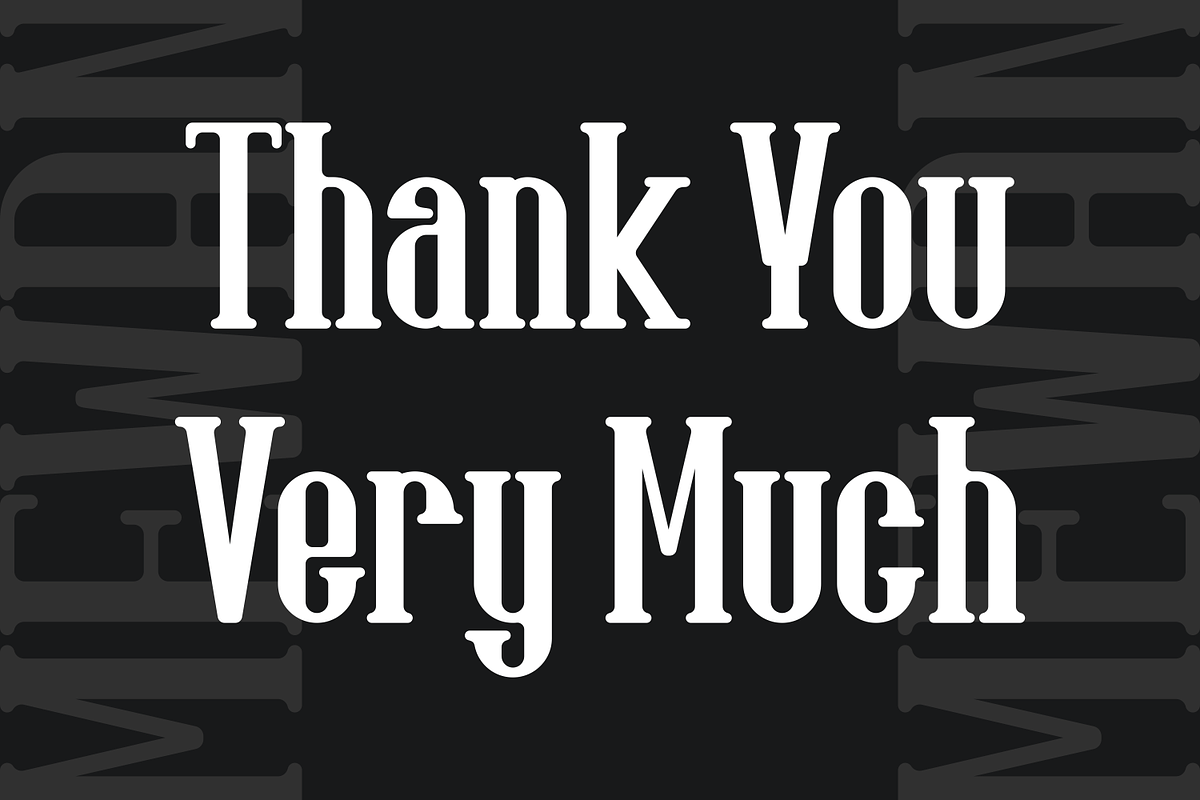 Mewan - Serif Vintage Font, a Serif Font by lelevien (Photo 4 of 4)