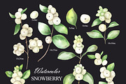 Watercolor snowberry clipart, an Illustration by OlDm_Shop (Thumbnail 3 of 11)