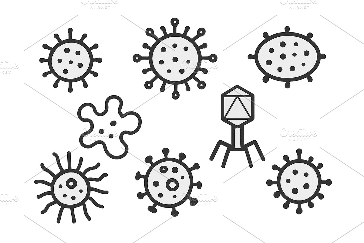 Vector representation of various, an Illustration by ZinetroN