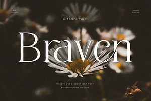 Braven | A Modern Serif Typeface