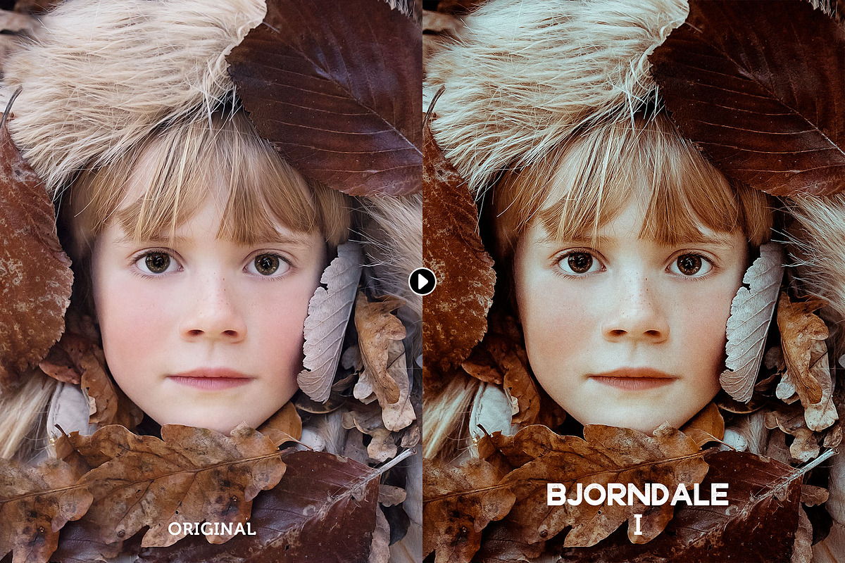 Bjorndale Presets - Desktop & Mobile, an Action Add-On by Presetrain Co. (Photo 6 of 9)