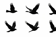 Flying Bird Silhouette Bundle, an Illustration by Creativeshirt (Thumbnail 6 of 10)