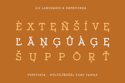 Typetopia Eroded Serif Typeface, a Handwritten Font by alpercakici (Thumbnail 6 of 17)