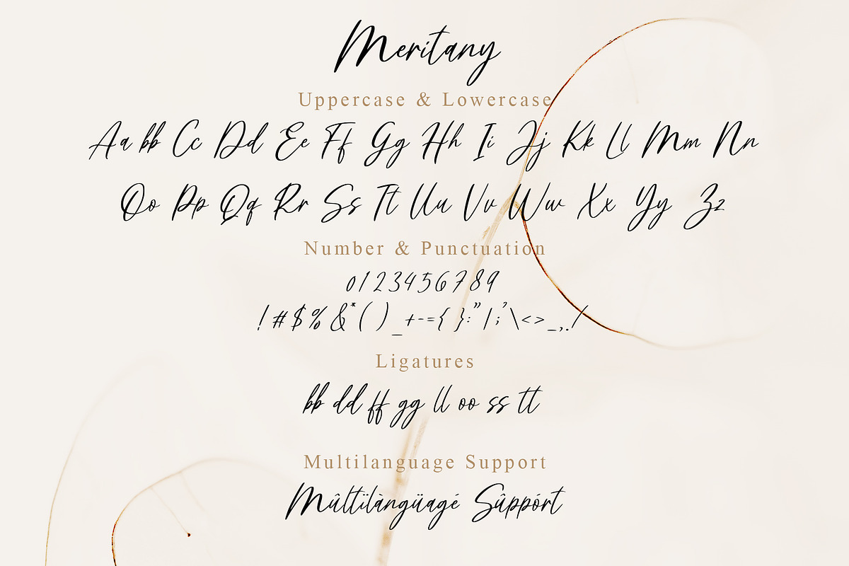 Meritany - Modern Handwritten Font, a Script Font by MJB Letters (Photo 8 of 8)