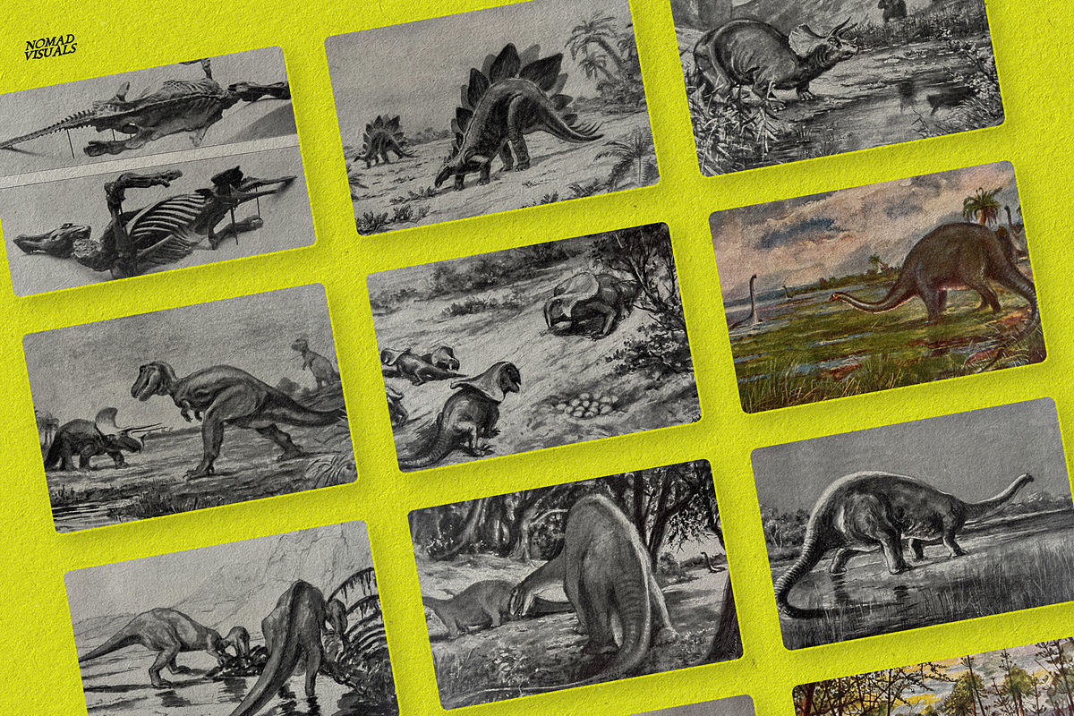 The Age of Dinosaurs, an Illustration by Nomad Visuals (Photo 9 of 10)