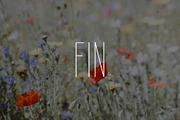 SkinnyCap Nav | Sans Serif Font, a Sans Serif Font by Navia Gruber (Thumbnail 6 of 6)