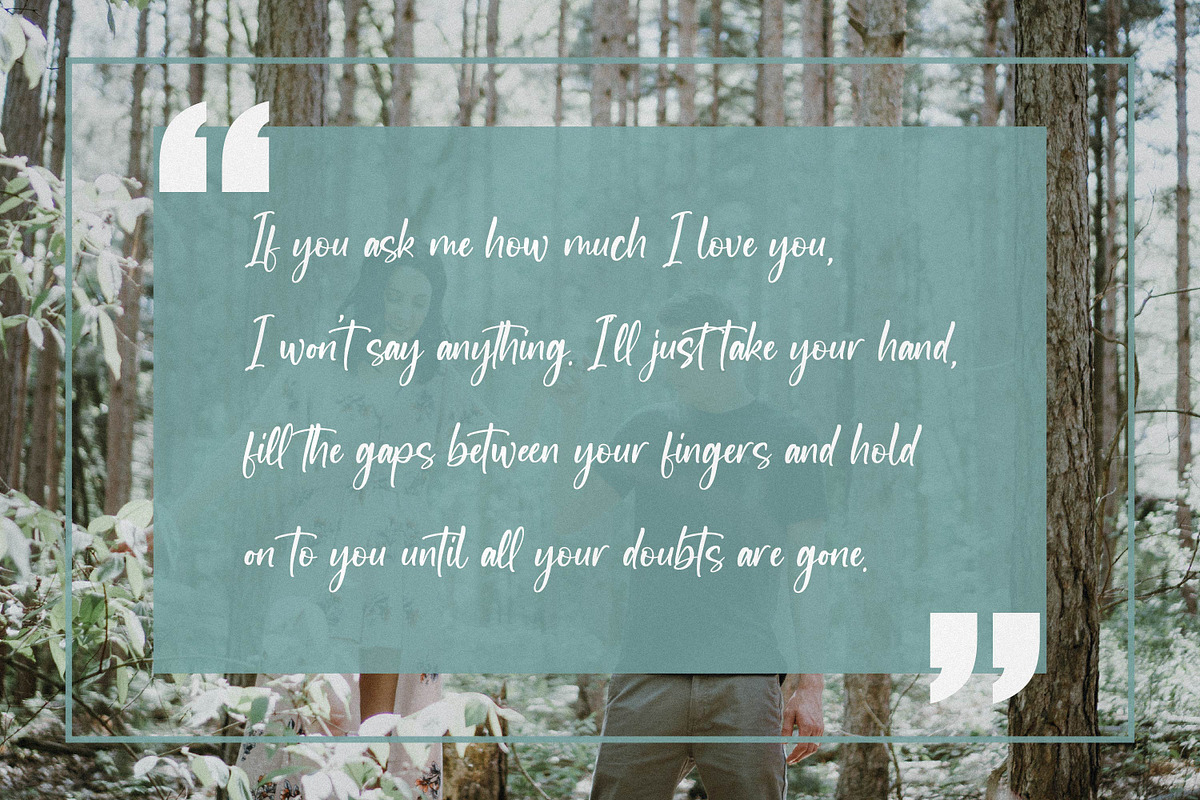 Newscript, a Script Font by Integritype Studio (Photo 4 of 14)