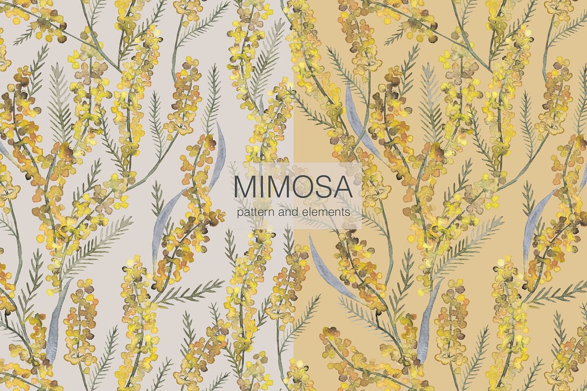 Pattern MIMOSA, a Decorative Illustration by PASHKOVA (Photo 17 of 18)