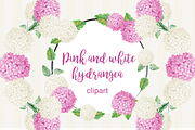 Pink and white hydrangea clipart, an Illustration by Annakristal (Thumbnail 1 of 4)
