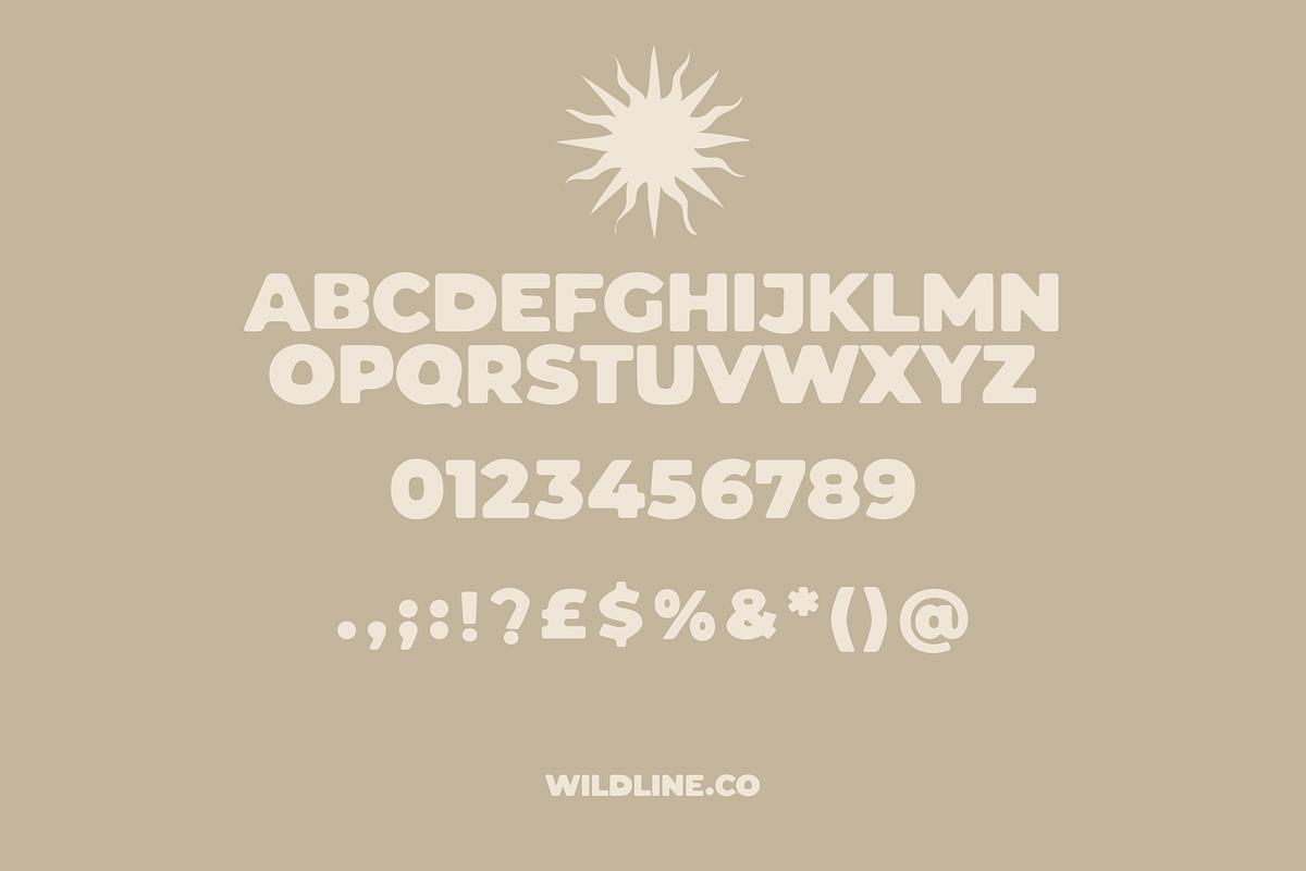 Colt James | Hand Lettered Type, a Font by Wildline.Co (Photo 2 of 3)