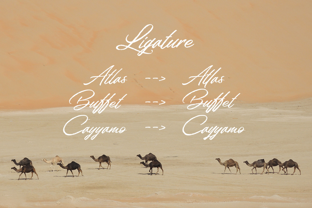 Welinedion, a Script Font by Aantebas (Photo 5 of 5)