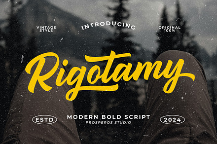 Rigotamy - Script Font, a Script Font by prps.std