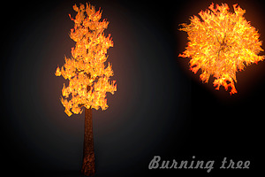 Burning Tree Big