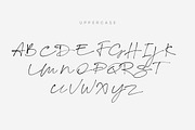 Script Fonts Duo, a Script Font by kavoon (Thumbnail 6 of 9)