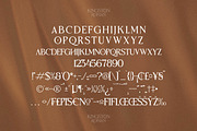 Kingston Roman Elegant Serif Font, a Serif Font by Storytype Studio (Thumbnail 13 of 15)