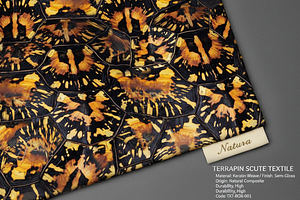Turtle Animal Patterns