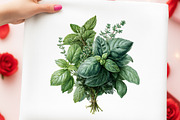 Watercolor Herbs Clipart, an Object Illustration by Digital Artistic99 (Thumbnail 5 of 11)