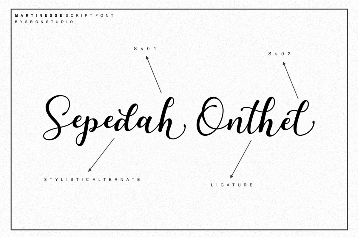 Martinesse - Beautiful Script Font, a Script Font by Sronstudio (Photo 12 of 14)