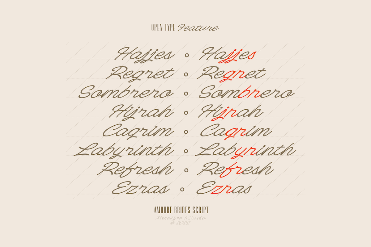 Amoure Brides Couple Font, a Sans Serif Font by Panatype™ Studio (Photo 7 of 9)