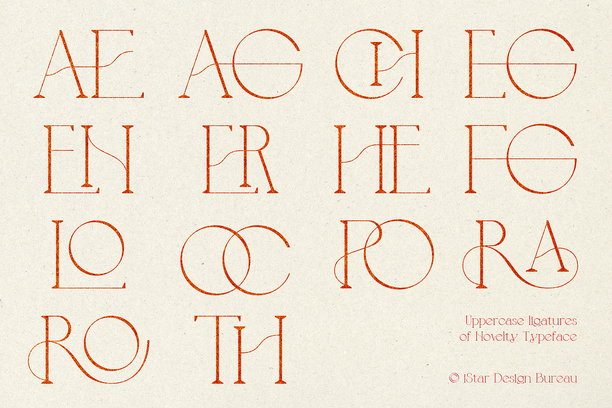 Novelty Serif Font, a Serif Font by iStar Design (Photo 12 of 14)