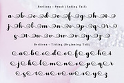 Berliona, a Script Font by TM Type (Thumbnail 8 of 10)
