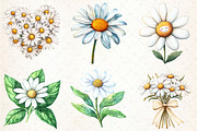 Watercolor Daisy Clipart, an Illustration by Libby Wishes (Thumbnail 2 of 5)