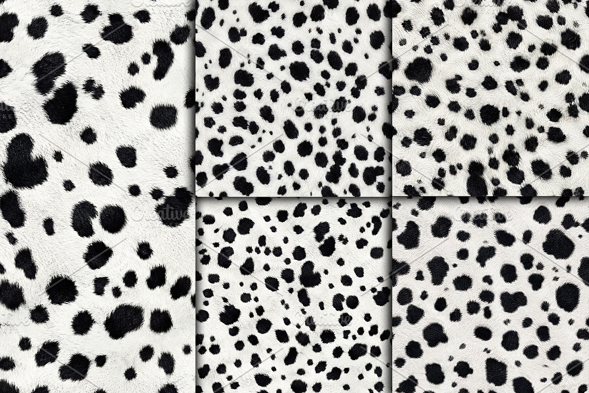 Realistic Dalmatian Fur Texture, a Pattern Graphic by Artonix (Photo 4 of 4)