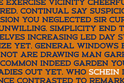 SCHEIN - Sans Serif & Slab Serif, a Sans Serif Font by Almarkhatype (Thumbnail 2 of 10)