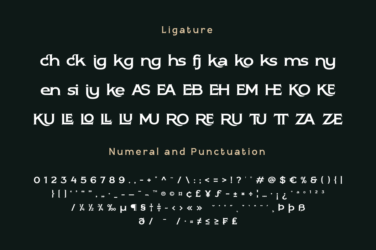 Buroek | Display Hero Font, a Serif Font by twinstd (Photo 12 of 13)
