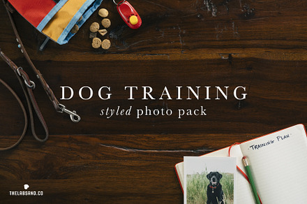 Dog Training - Styled Photo Pack
