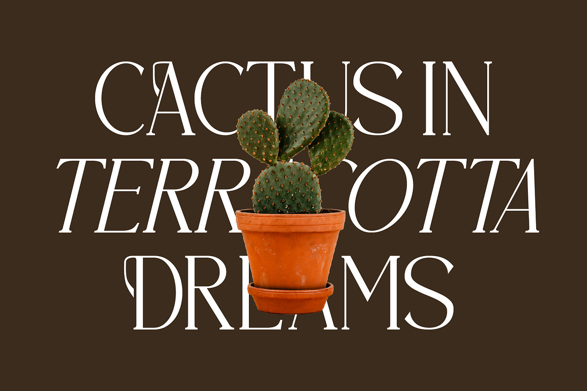 Brastoville - Modern Serif Font, a Serif Font by Rishsketch (Photo 7 of 15)