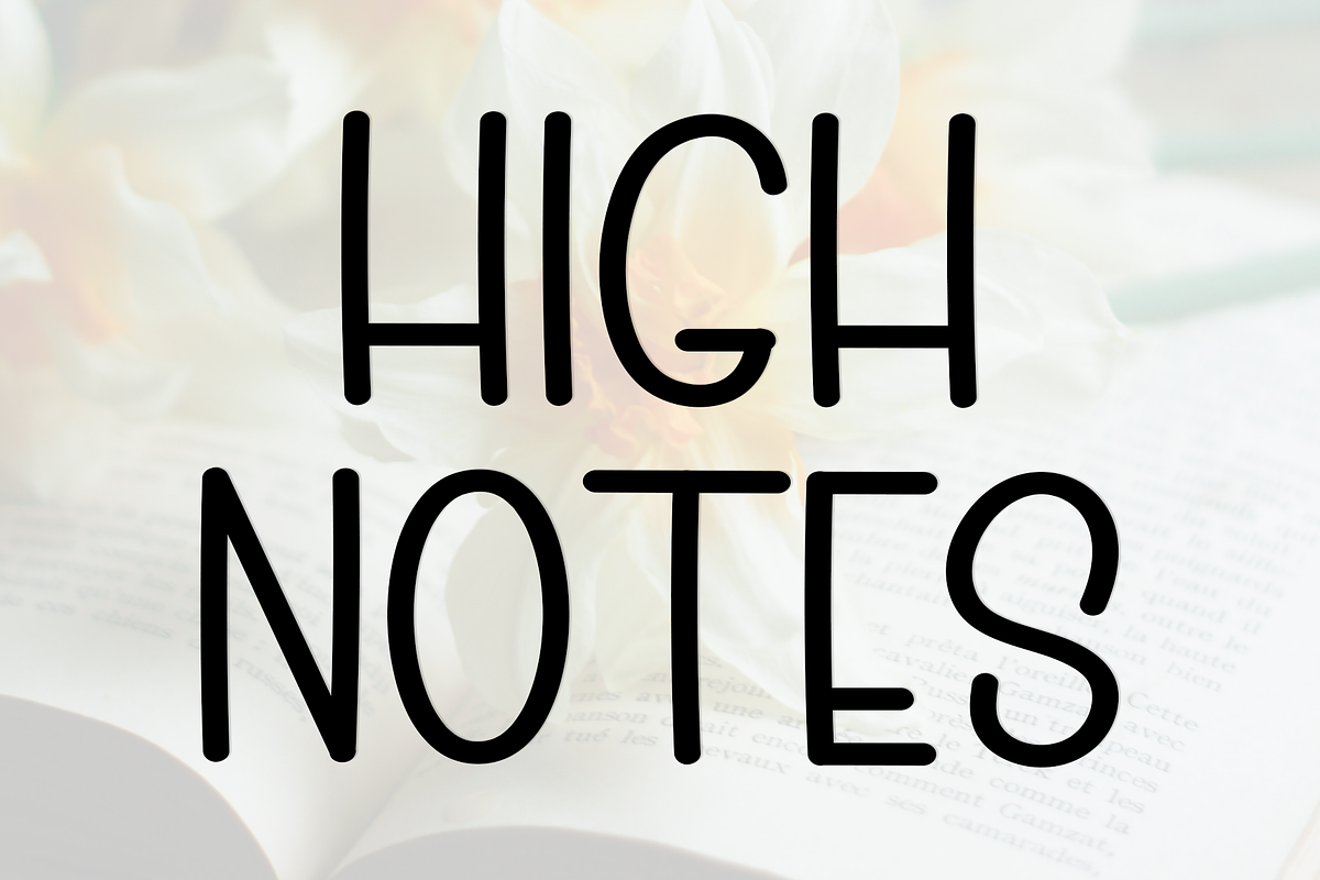 Notes Retro, a Sans Serif Font by InermediaSTUDIO (Photo 6 of 8)