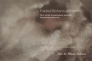 Neutral Florals textured backgrounds, a Background Graphic by DigARTbyHavroshka (Thumbnail 5 of 13)