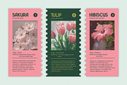 Vaelia - Elegant & Playful Sans, a Sans Serif Font by Pandeka Studio (Thumbnail 3 of 9)