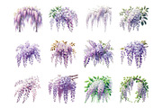 Wisteria Floral Garden Clipart PNG, an Illustration by SinaCreation (Thumbnail 2 of 7)