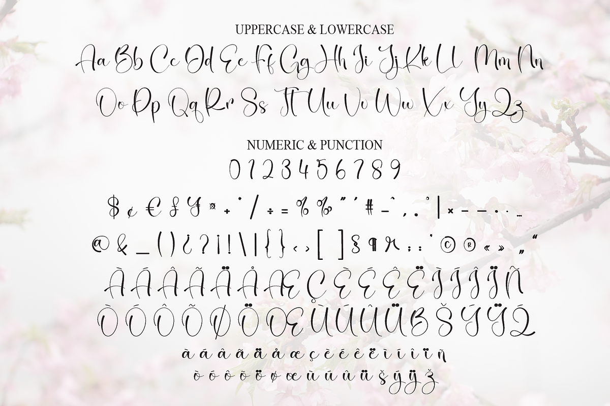 Cherry Blossom | Script Font, a Handwritten Font by Scratchones (Photo 7 of 8)