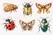 Vintage Insect Sublimation Clipart, an Illustration by Dream Creation (Thumbnail 6 of 7)