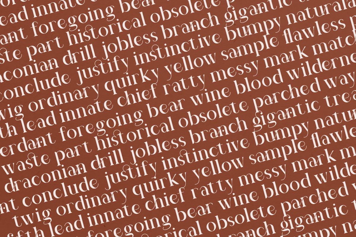 Gianiteh Display Modern Serif, a Serif Font by KennedyStudio (Photo 4 of 19)