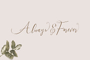 Milova | Modern Calligraphy font, a Script Font by creativemedialab (Thumbnail 3 of 7)