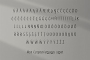 Eagle's Flight | Natural Sans Serif, a Sans Serif Font by Mr.Typeman (Thumbnail 3 of 7)