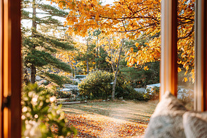 Relaxing digital detox retreat cabin with autumn views in the countryside setti, a Beauty & Fashion Photo by AlyaAnd