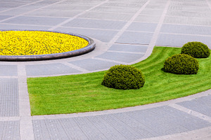 Landscaped urban square with plants, an Architecture Photo by BOOCYS